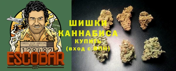 шишки Абинск