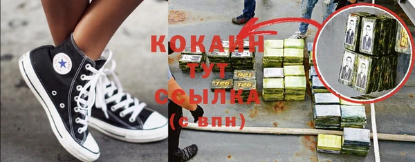 шишки Абинск
