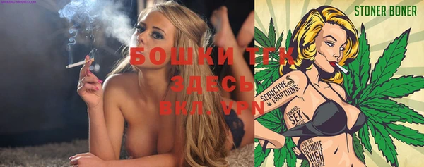 шишки Абинск