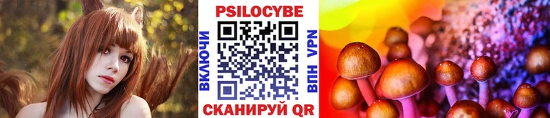 Псилоцибиновые грибы Cubensis  Хилок 